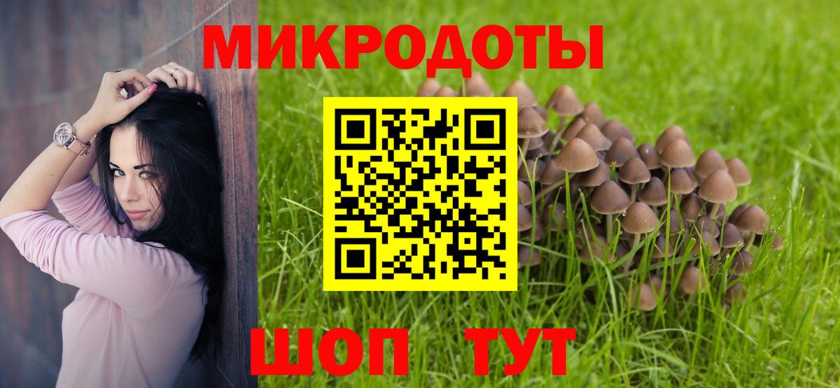 Галлюциногенные грибы прущие грибы Котовск